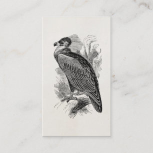 Vintage Vulture Bird Personalised Vultures Birds Business Card