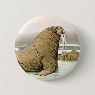 Vintage Walrus on Iceberg in Arctic, Wild Animals 6 Cm Round Badge