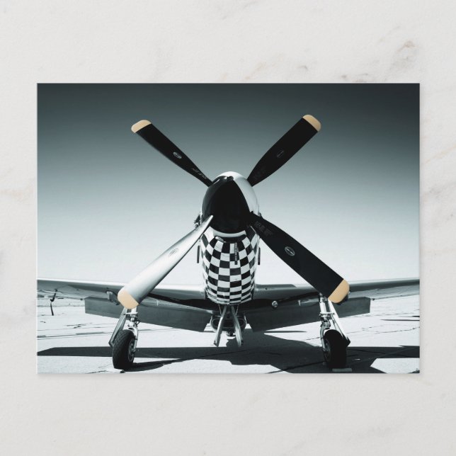 Vintage War Bird Postcard (Front)