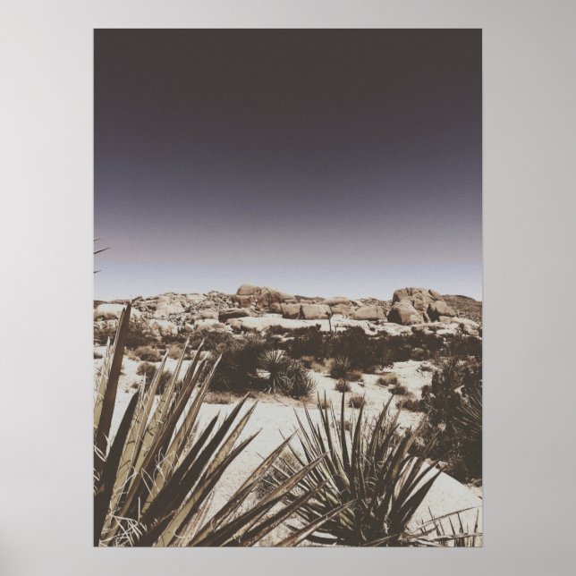 Vintage Warm Toned Joshua Tree Desert Poster (Front)
