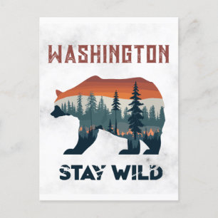 Vintage Washington Bear Stay Wild Travel Postcard