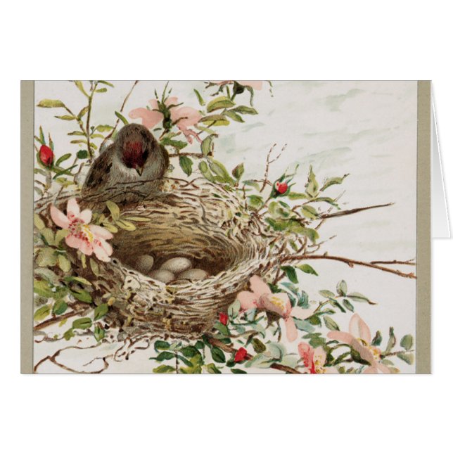 Vintage Watchful Bird (Front Horizontal)