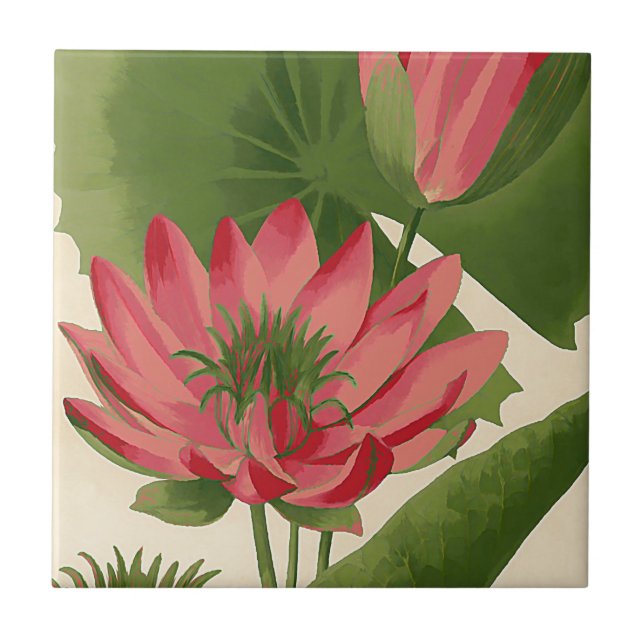 Vintage water lily tile (Front)