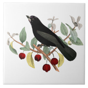  Vintage Watercolor Blackbird Ceramic Tile
