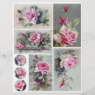 Vintage Watercolor Pink Rose Paintings by C. Klein
