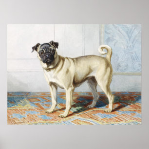 Vintage Watercolor Pug Dog Art Print