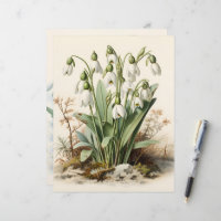 Vintage Watercolor Snowdrops Scrapbook Paper