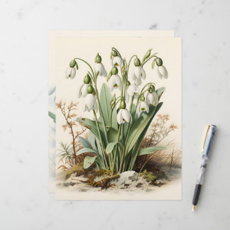 Vintage Watercolor Snowdrops Scrapbook Paper