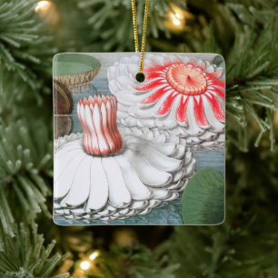 Vintage Waterlily Flowers, Waterlilies in a Pond Ceramic Ornament