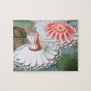 Vintage Waterlily Flowers, Waterlilies in a Pond Jigsaw Puzzle