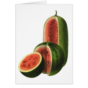Vintage Watermelons Tall Round, Organic Food Fruit
