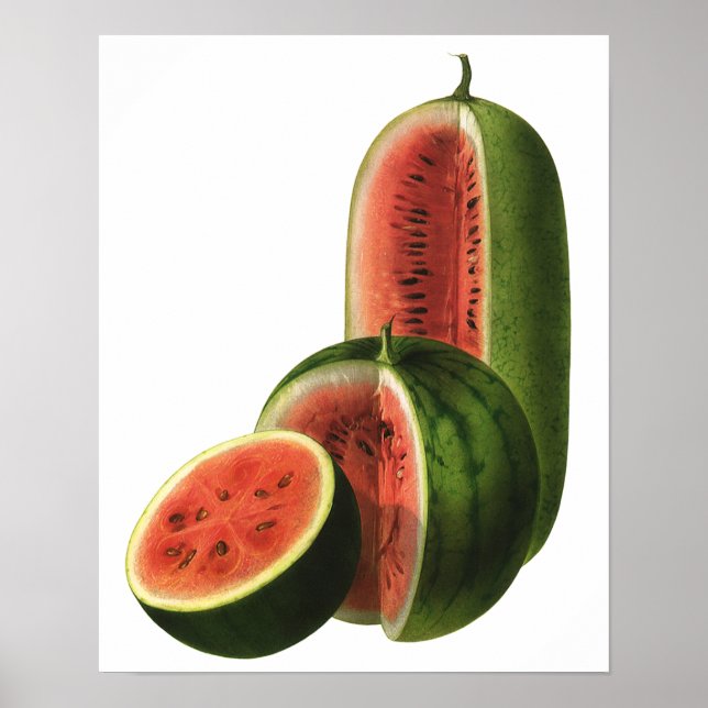 Vintage Watermelons Tall Round, Organic Food Fruit Poster (Front)