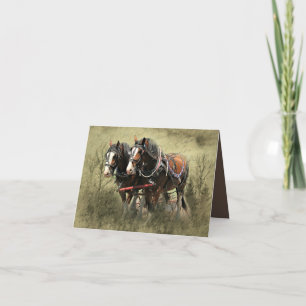 Vintage Weathered Clydesdale Postcard