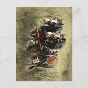 Vintage Weathered Clydesdale Postcard