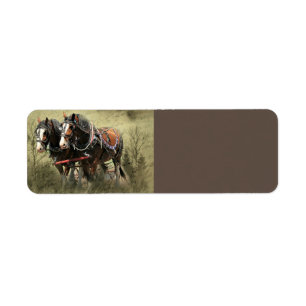 Vintage Weathered Clydesdale Postcard