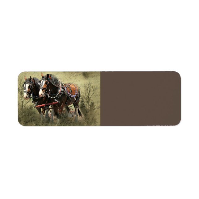 Vintage Weathered Clydesdale Postcard (Front)