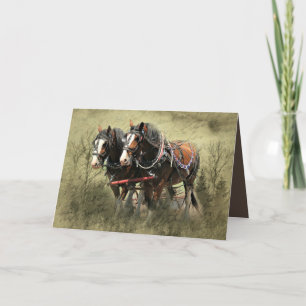 Vintage Weathered Clydesdale Postcard