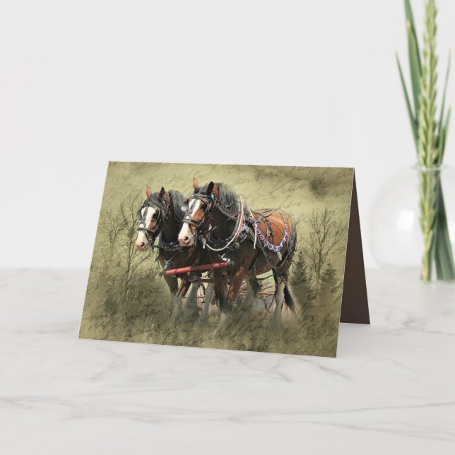 Vintage Weathered Clydesdale Postcard (Front)