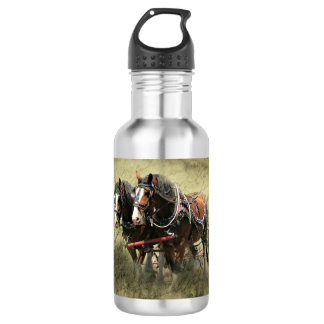 Vintage Weathered Clydesdale Postcard 532 Ml Water Bottle