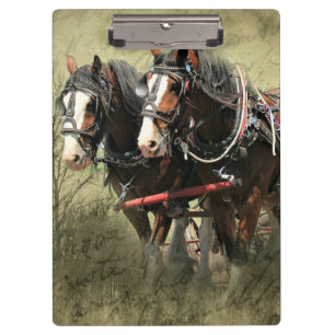 Vintage Weathered Clydesdale Postcard Clipboard
