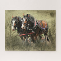 Vintage Weathered Clydesdale Postcard