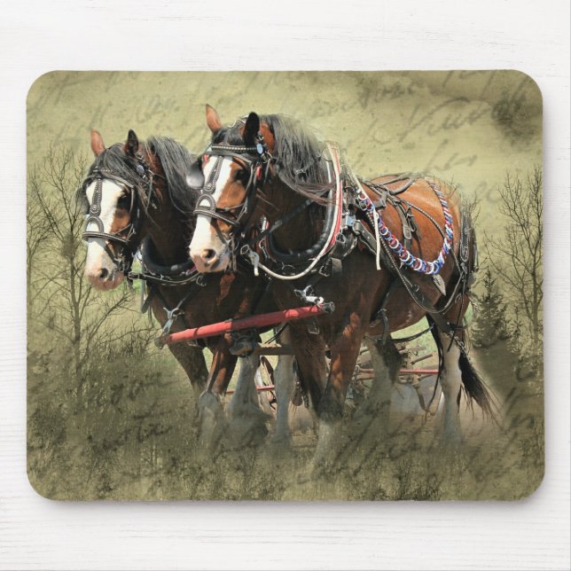 Vintage Weathered Clydesdale Postcard Mouse Mat (Front)
