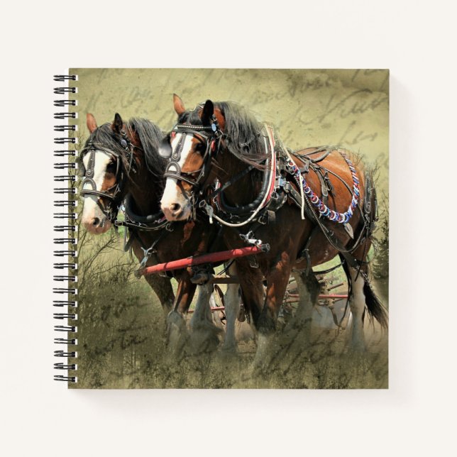 Vintage Weathered Clydesdale Postcard Notebook (Front)