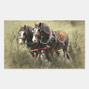 Vintage Weathered Clydesdale Postcard Rectangular Sticker