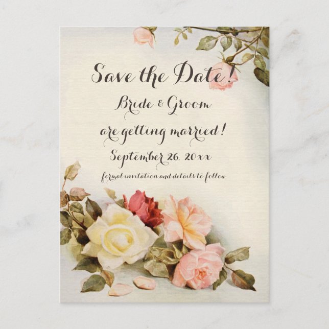 Vintage Wedding Antique Garden Rose Flowers Postcard (Front)