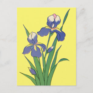 Vintage Wedding Save the Date, Purple Iris Flowers Announcement Postcard