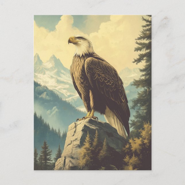 Vintage Weisshead Eagle Alaska Postcard (Front)