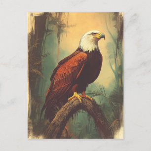 Vintage Weisskopfseeadler Postkarte Postcard