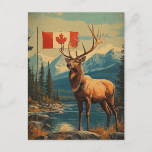Vintage Weißwedelhirsch in Kanada mit Flagge Postcard