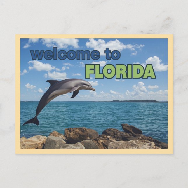 Vintage Welcome to Florida Dolphin Postcard (Front)