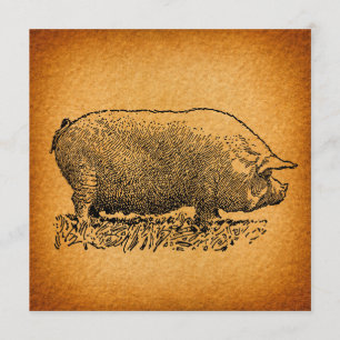 Vintage Western Style Antique Pig Art Illustration Invitation