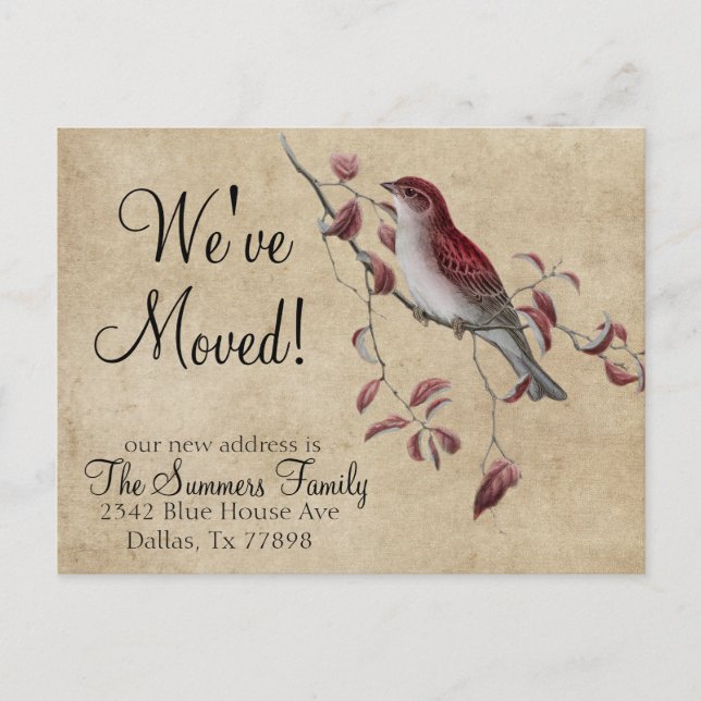 Vintage We've Moved Address Announcement  Bird (Front)