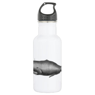 Vintage Whale 532 Ml Water Bottle