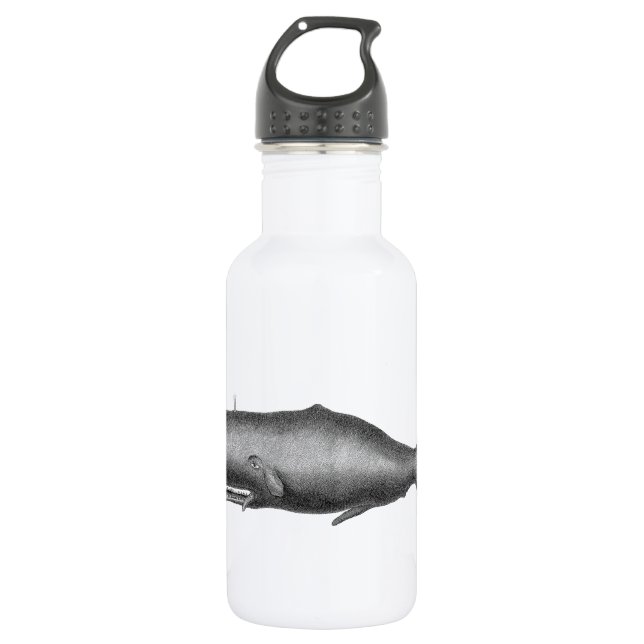 Vintage Whale 532 Ml Water Bottle (Front)