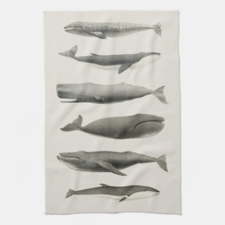 Vintage Whale Art Collage Tea Towel