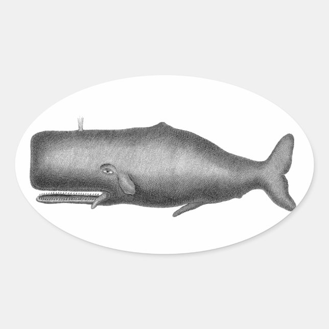 Vintage Whale Oval Sticker (Front)