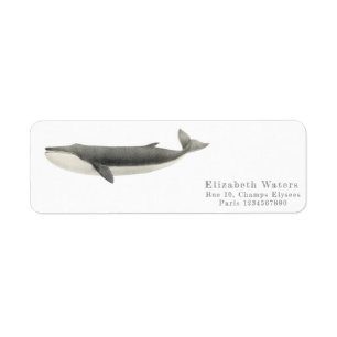 VINTAGE WHALE RETURN ADDRESS LABEL