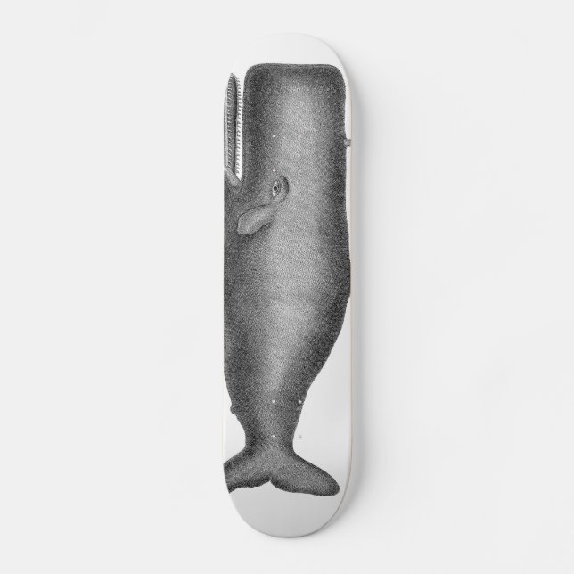 Vintage Whale Skateboard (Front)