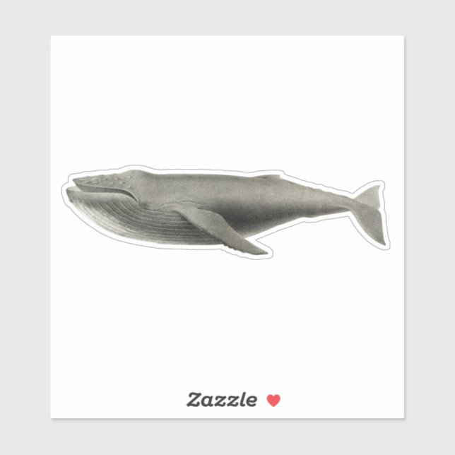 VINTAGE WHALE TRANSPARENT STICKER (Sheet)