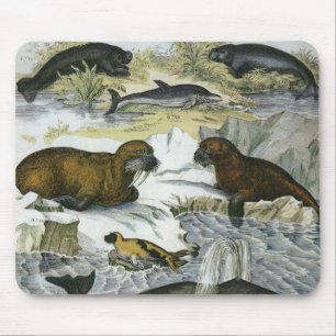 Vintage Whales, Seals and Walruses, Marine Animals Mouse Mat