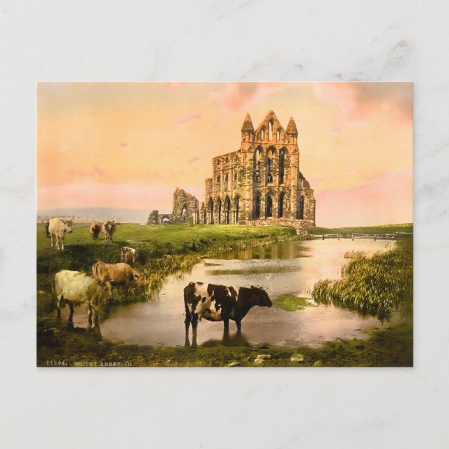 Vintage Whitby Abbey Yorkshire England Postcard (Front)