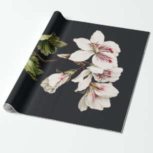 Vintage White and pink Flowers on black Wrapping Paper