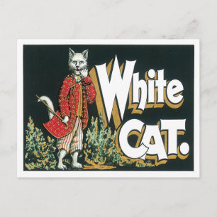 Vintage White Cat Cigar Label Art Postcard