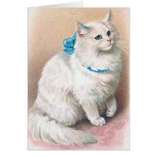 Vintage - White Cat with Blue Bow,