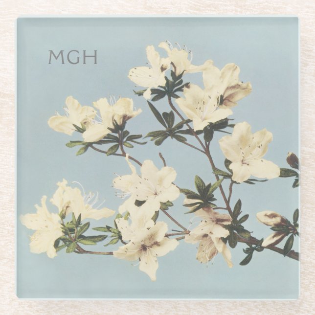 Vintage White Cream Azalea Flowers Monogram Glass Coaster (Front)