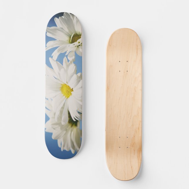 Vintage White Daisies Skateboard (Front)
